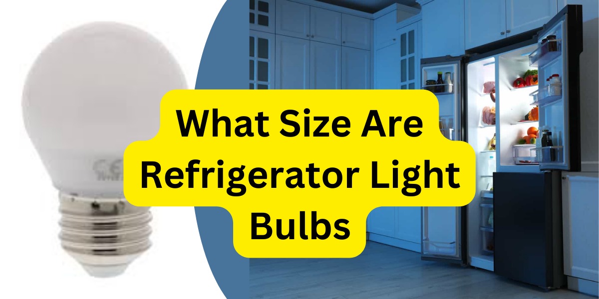 What Size Are The Light Bulbs On Your Refrigerator